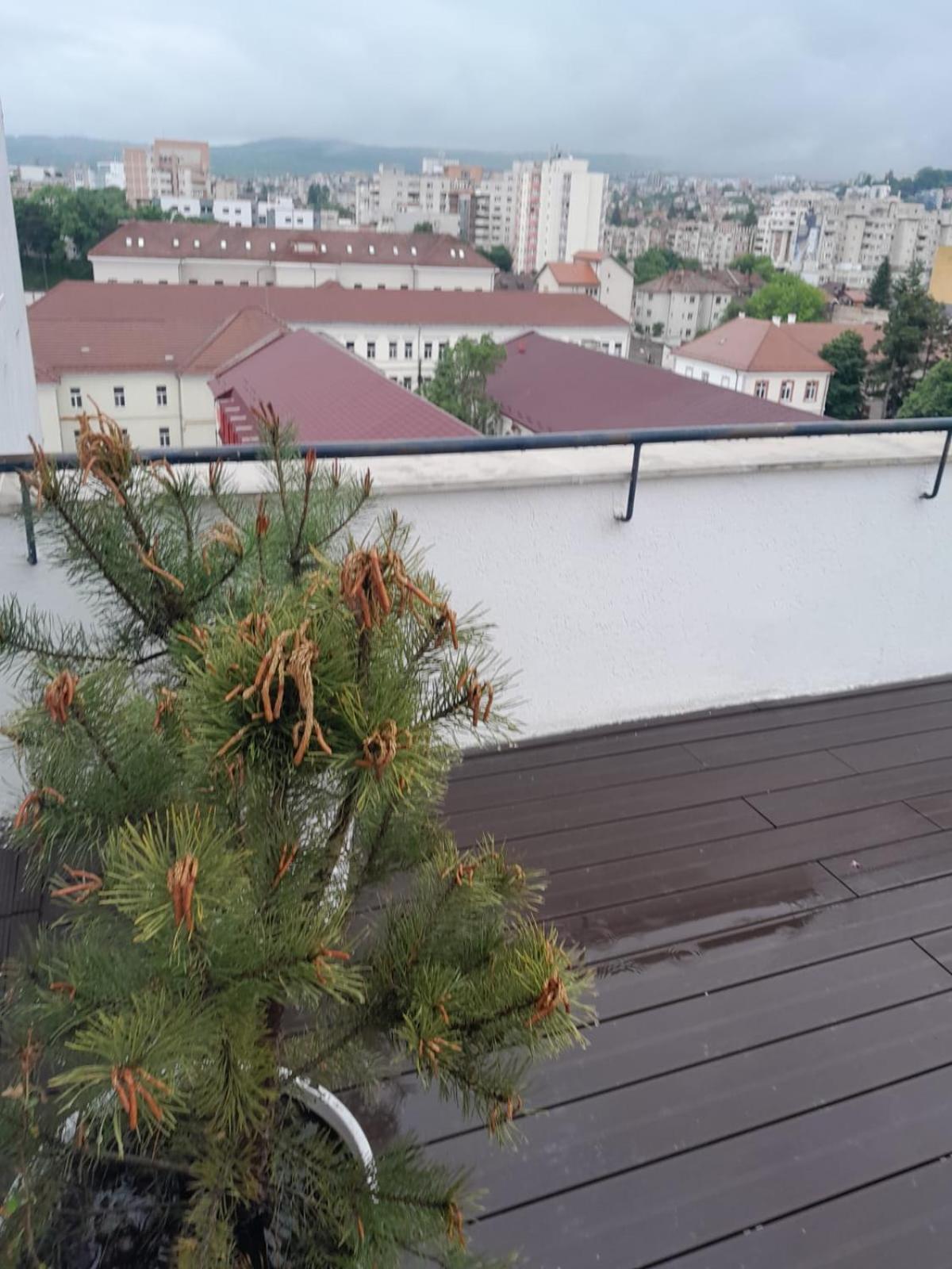 Cristinco Panoramic Apartment Cluj-Napoca Exterior photo